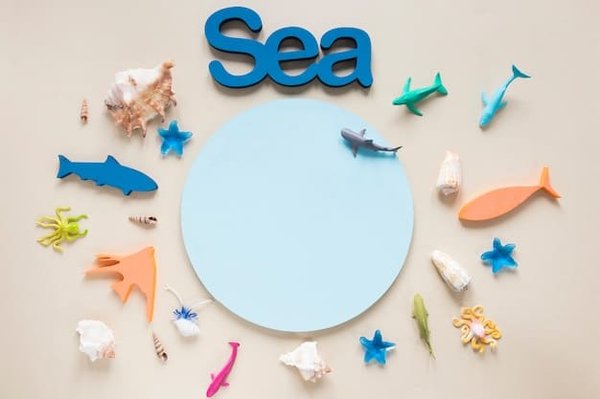 Quels sont les services proposés par une agence SEA ?